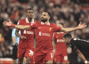 包含艾弗顿球队势如破竹，期待下一场表现的词条